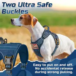 rabbitgoo Tactical Dog Harness for… — Photo 2