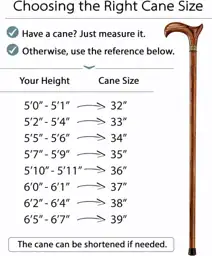 Asterom Handcrafted Walking Cane, Stylish… — Photo 2