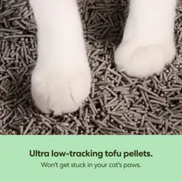Tuft & Paw Really Great… — Photo 2