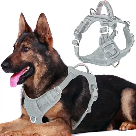 BARKBAY Dog Harness No Pull… — Photo 1