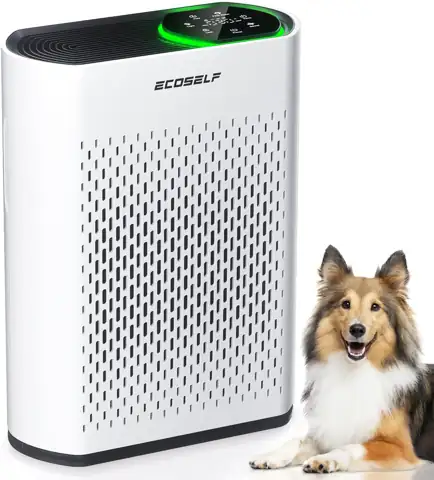 ECOSELF HEPA Air Purifier for… — Photo 1