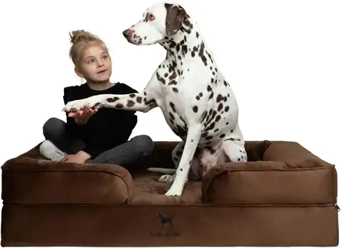 NOAH & PAW Large Dog… — Photo 1