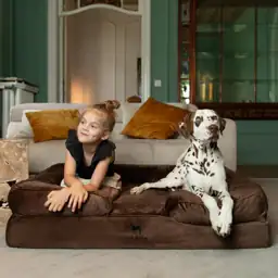 NOAH & PAW Large Dog… — Photo 2