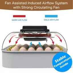 MATICOOPX 30-Egg Incubator with Humidity… — Photo 2