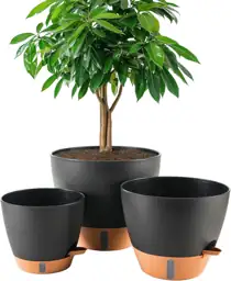 8/10/12 Inch Self Watering Pots… — Photo 1