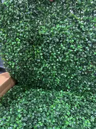 Grass wall panels — Photo 2