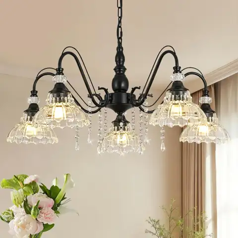 5-Light Matte Black Chandelier with… — Photo 1