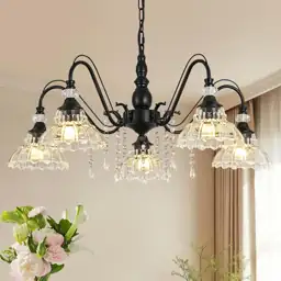 5-Light Matte Black Chandelier with… — Photo 1