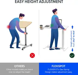 FLEXISPOT H7 32
