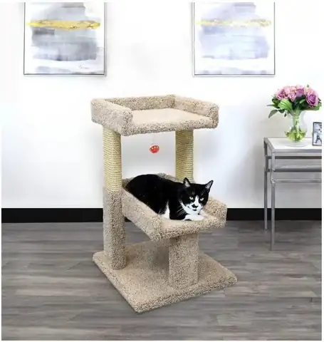 HomeStock Cat Tree & Play… — Photo 1