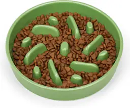 Ceramic Slow Feeder Dog Bowl,… — Photo 2