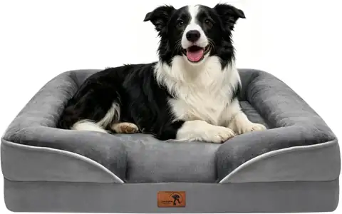Spotted Play Orthopedic Dog Bed… — Photo 1