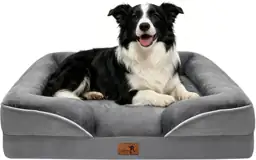 Spotted Play Orthopedic Dog Bed… — Photo 1