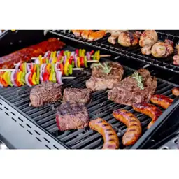 Gourmet Pro 5-Burner Dual Fuel… — Photo 2