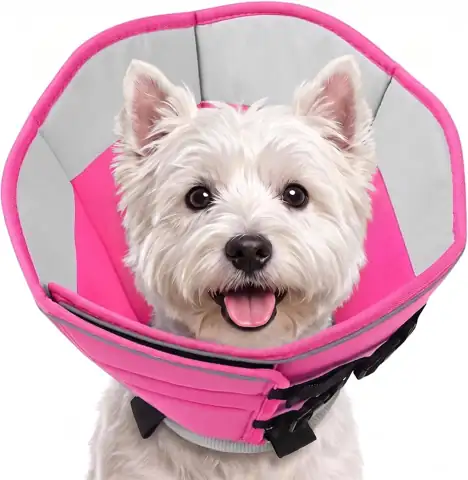 AOFITEE Small Soft Dog Cone,… — Photo 1