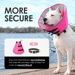 AOFITEE Small Soft Dog Cone,… — Photo 2