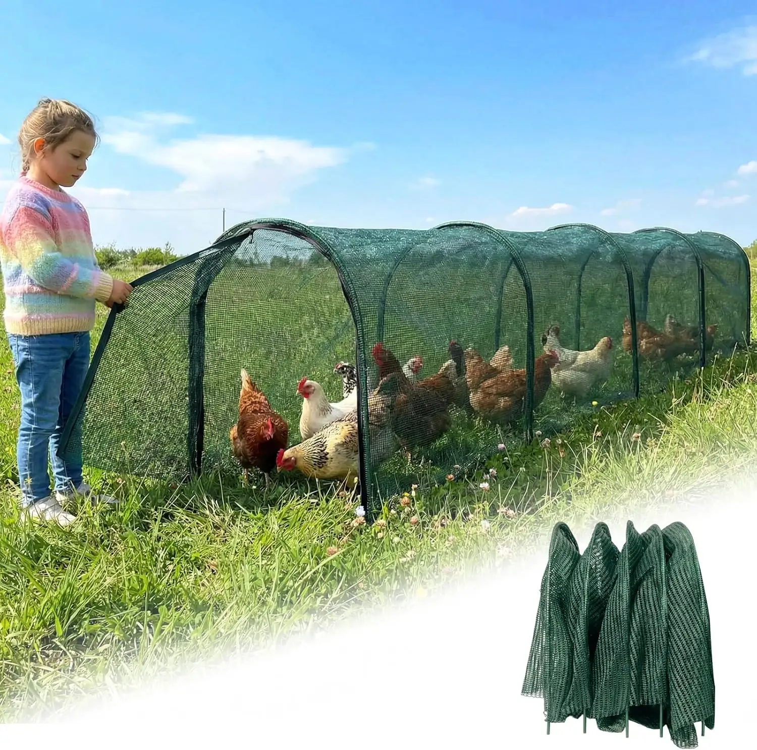 Chicken Runs for Yard: 79"… — Photo 1