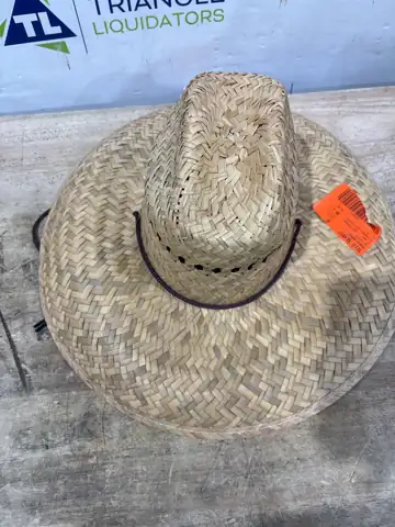 Home Depot Goldcoast Straw Sun… — Photo 1