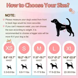 Ambreview Disposable Dog Diapers Female,… — Photo 2