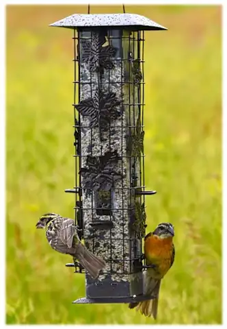 Perky-Pet Squirrel-Be-Gone Wild Bird Feeder — Photo 1