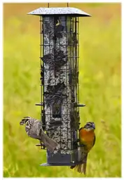Perky-Pet Squirrel-Be-Gone Wild Bird Feeder — Photo 1