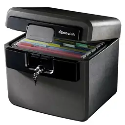 SentrySafe HD4100 Fire-Resistant and Water-Resistant… — Photo 1