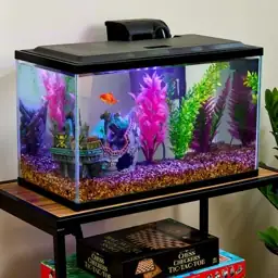 Vibrant Life 10 Gallon Aquarium… — Photo 2