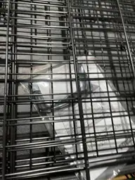 Vibrant Life Wire Dog Crate,… — Photo 4