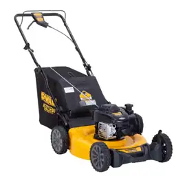 DEWALT 21 in. 150cc Briggs… — Photo 1