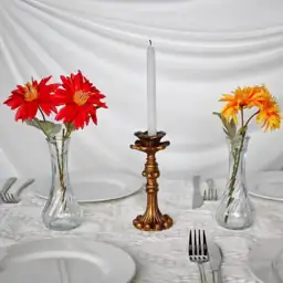 Sandraheer Glass Bud Vases -… — Photo 2