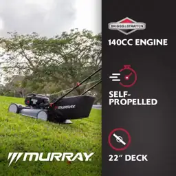 Murray 22 in. 140 cc… — Photo 2