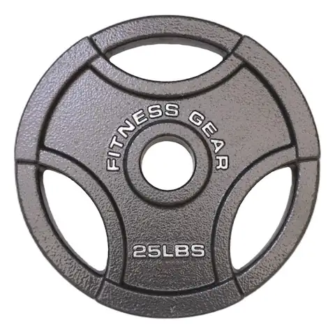 2 25lb Olympic plates — Photo 1