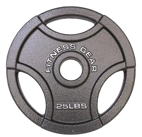 2 25lb Olympic plates — Photo 1