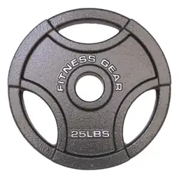 2 25lb Olympic plates — Photo 1