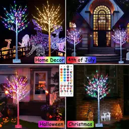 Outdoor Colorful Lighted Birch Tree… — Photo 2