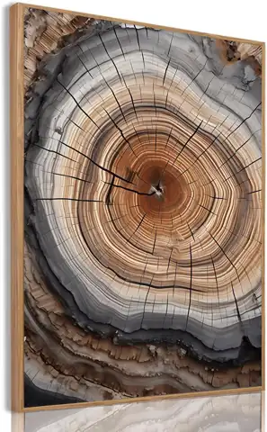 Tree Ring Wall Art Framed,… — Photo 1