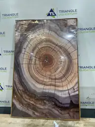 Tree Ring Wall Art Framed,… — Photo 4