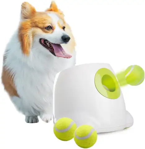 ALL FOR PAWS Automatic Dog… — Photo 1