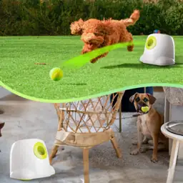 ALL FOR PAWS Automatic Dog… — Photo 2