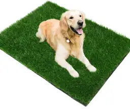 Fake Grass Pad for Dogs… — Photo 1