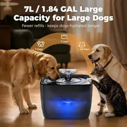 Pet Water Fountain for Large… — Photo 2