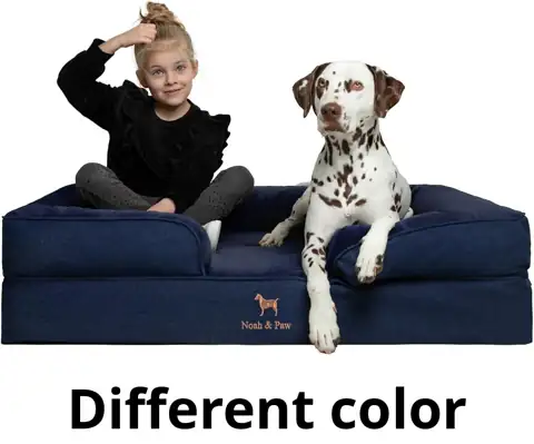 NOAH & PAW Large Dog… — Photo 1