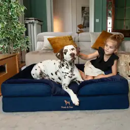 NOAH & PAW Large Dog… — Photo 2