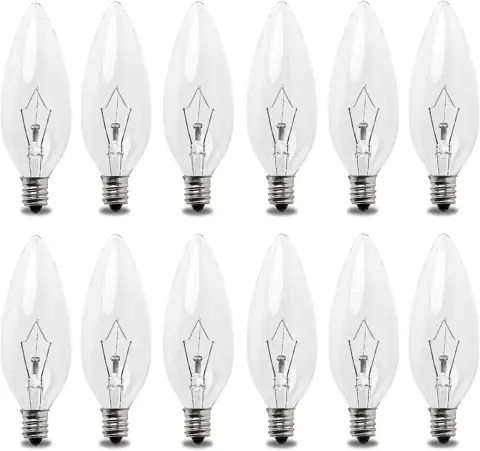 Seentech 12 Pack 25W 120V… — Photo 1