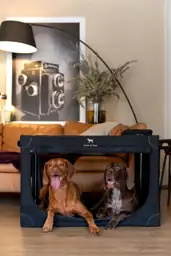 Noah & Paw Collapsible Dog… — Photo 2