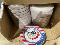 PAMI Patriotic Paper Plates 7… — Photo 3