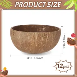 Hushee 12 Natural Coconut Bowl… — Photo 2