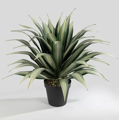 SUNPRAIRIE Life-Like Extra Large 34-Inch… — Photo 1