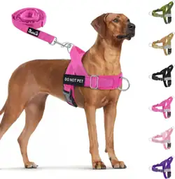 SlowTon No Pull Dog Harness… — Photo 1