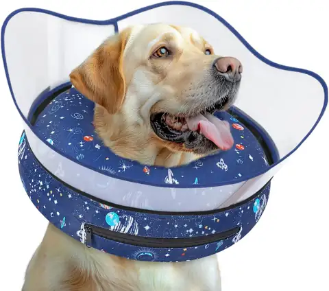 Inflatable Elevated Dog Cone Collar… — Photo 1